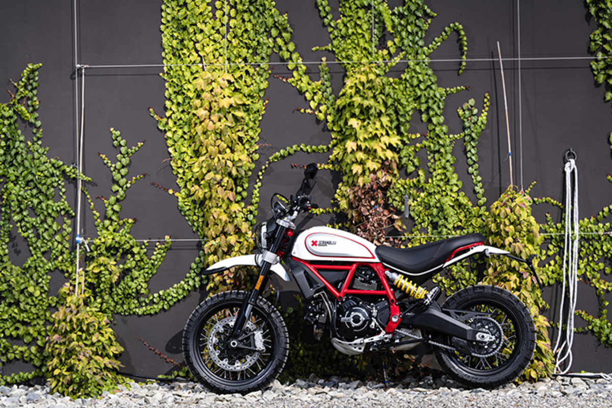 Ducati Scrambler Desert Sled