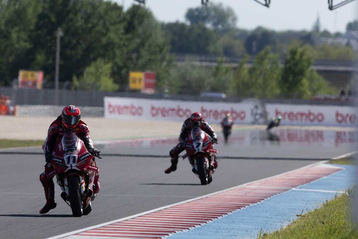Bulega und Lecuona