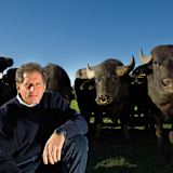 Der ehemalige Formel-1-Pilot Jody Scheckter besitzt mittlerweile mehr als 1500 Wasserbüffel