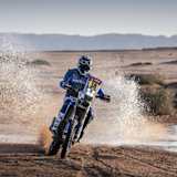 Ross Branch war bis zu seinem Ausfall stark unterwegs