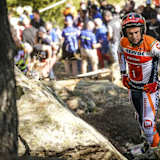 Toni Bou