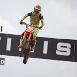 Lion Florian: Der Speed ist da!