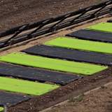 Wie es in diesem Jahr mit der Motocross-WM weitergeht, bleibt fraglich