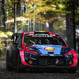 Thierry Neuville