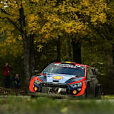 Thierry Neuville