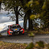 Thierry Neuville