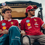 Charles Leclerc und Lewis Hamilton: Noch einmal 25 sein ...