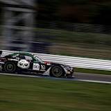 Pandatastisch - Madpanda Motorsport startet auch in diesem Jahr in der GT World Challenge Europe