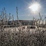Winter in Oschersleben