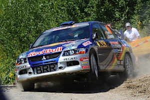 gassner 2010 d2010 1 1