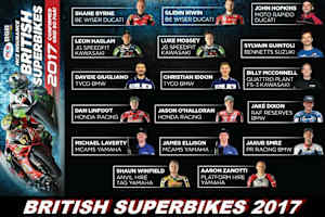 Die bisher eingeschriebenen Piloten für die BSB-Saison 2017