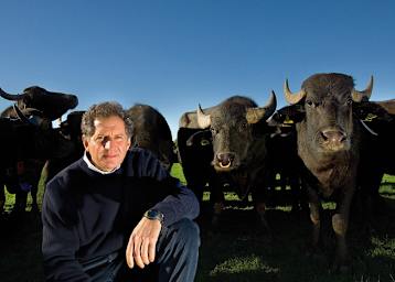 Der ehemalige Formel-1-Pilot Jody Scheckter besitzt mittlerweile mehr als 1500 Wasserbüffel