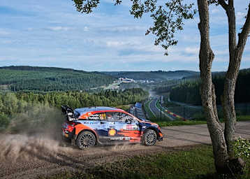 Heimsieger Thierry Neuville oberhalb von Spa Francorchamps