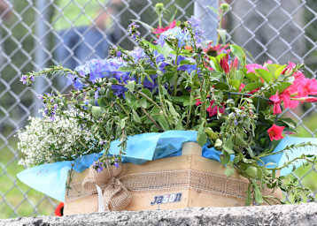 Eine Blumenkiste für Jason Dupasquier