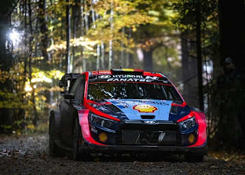 Thierry Neuville