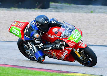 Max Enderlein als Historiker