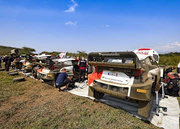 Die vier siegreichen Toyota im Kenia-Service