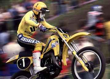 Harry Everts 1981