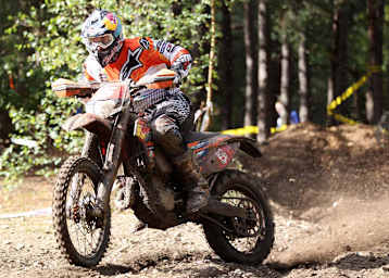 Multichampion David Knight