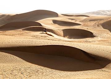 Dünen so weit das Augen reicht