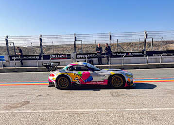 Der BMW Z4 GT3 von Peter Posavac