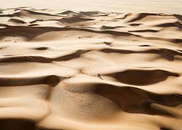In grandiosen Wüstenlandschaften wird in Saudi-Arabien die Dakar gefahren