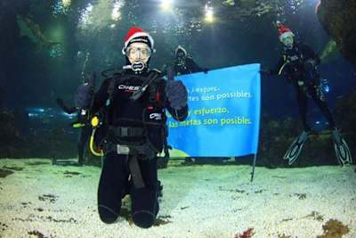 Carlos Checa: Grüsse aus dem Haifischbecken