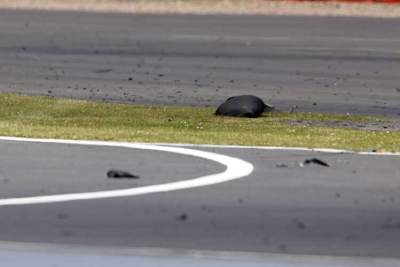 Solche Bilder soll es bald nicht mehr geben