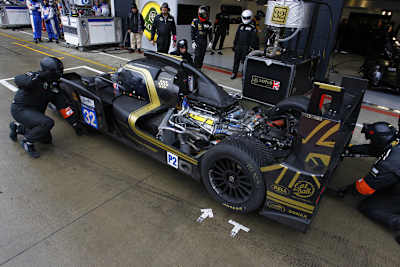 Lotus: Potenzial ist vorhanden