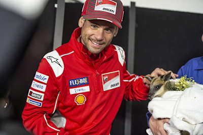 Álvaro Bautista auf Phillip Island 