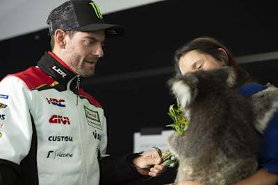 Cal Crutchlow heute auf Phillip Island beim Füttern eines Koalas