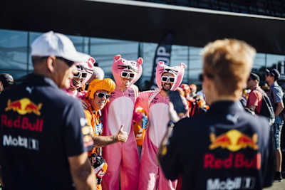 Die Fans kommen auf ihre Kosten