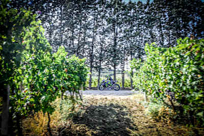 Valentino Rossi gab abseits der Rennstrecke Gas