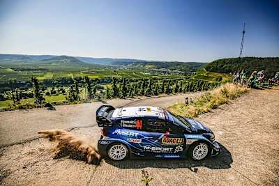 Gus Greensmith in den Weinbergen