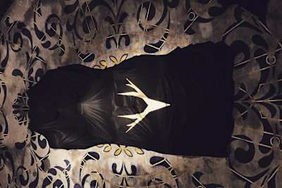 Der neue Haas-Look wird heute enthüllt