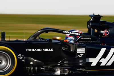 Der Hase auf dem Haas