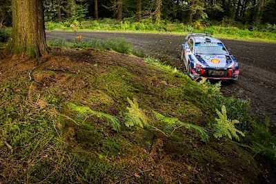 Thierry Neuville bleibt in der WM vorne