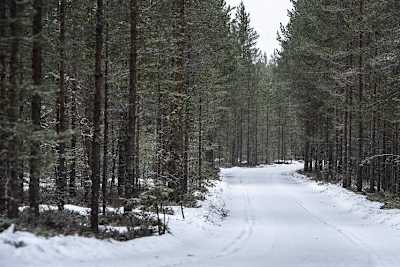 Eine leichte Schneedecke...