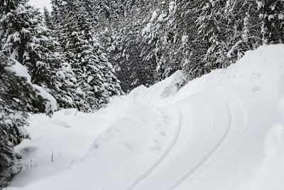 Eine echte Winterrallye soll es diesmal sein