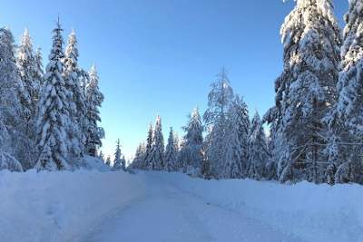 Die Wunschbedingungen des Veranstalters