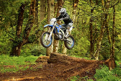 Die Yamaha WR 250 F: Waldmachine für gehobene Ansprüche