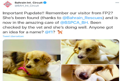 Die Bahrain-Streunerin ist eingefangen