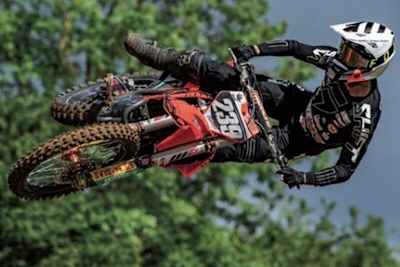 Lion Florian in Crisolles