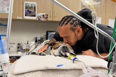 Lewis Hamilton besucht seinen Hund Roscoe im Krankenhaus