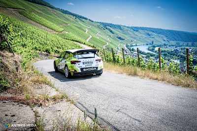 Marijan Griebel in den Weinbergen