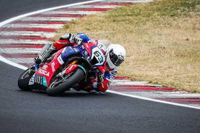 Der WM-Gast kommt wieder