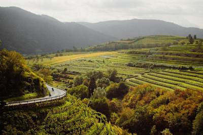 Bei diesem Ausblick juckt es jedem Biker in der Gashand