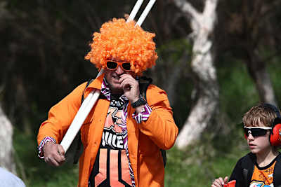 Nichts ersetzt einen Besuch auf der Strecke: Fans als Teil der MotoGP-Show.
