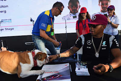 Lewis Hamilton und seine Coco