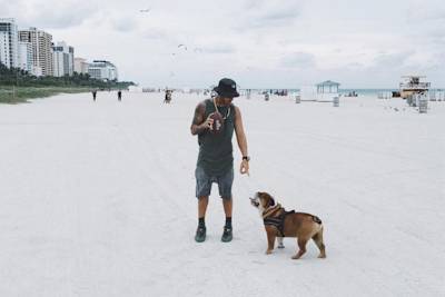 Lewis Hamilton mit Roscoe in Miami